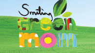 Smiling Green Mom had built a core group of followers on Twitter prior to launching her blog. Her witty and informational daily postings quickly built a loyal base of followers who...